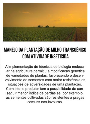 Manejo da plantação de milho transgênico com atividade inseticida